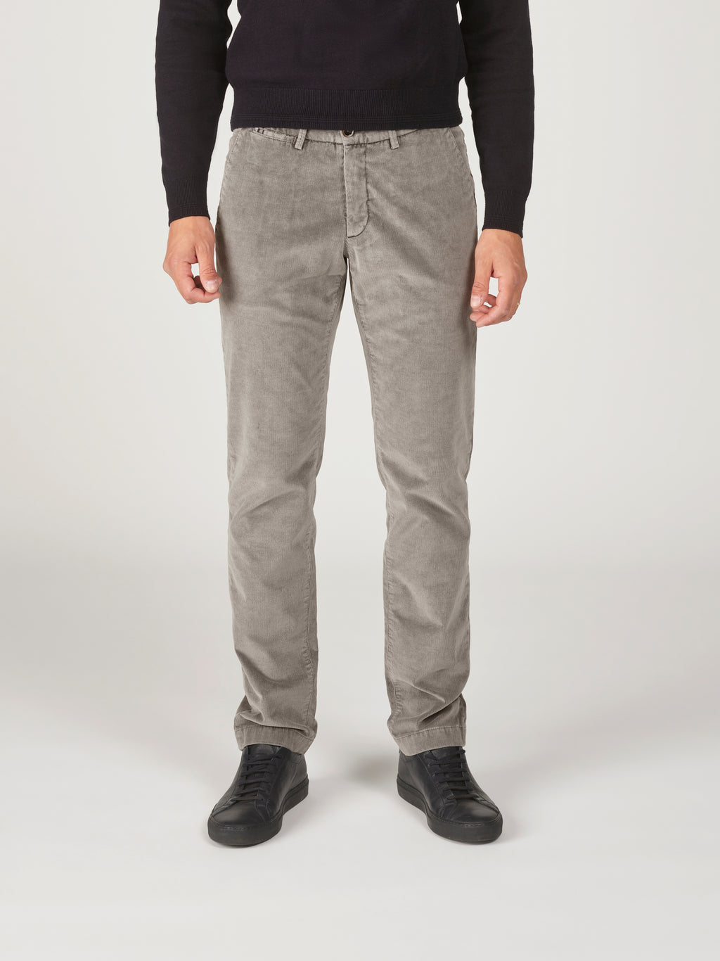 SIDNEY-P 52 - 251 WARM GRAY
